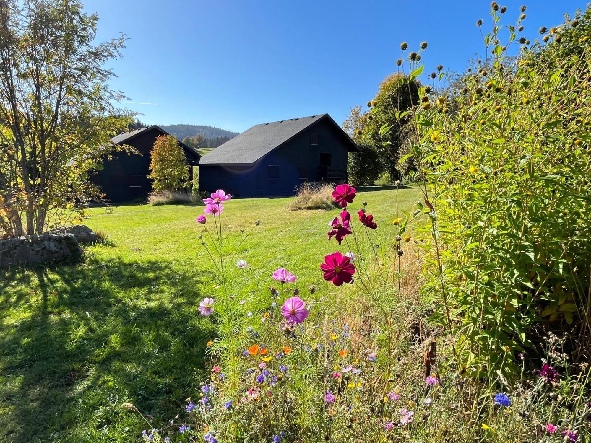 Holiday Home Rechbergblick - Beu302 By Interhome Bernau im Schwarzwald Ngoại thất bức ảnh